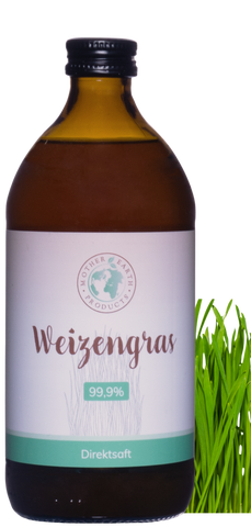 Weizengras Direktsaft 99,9% 500 ml